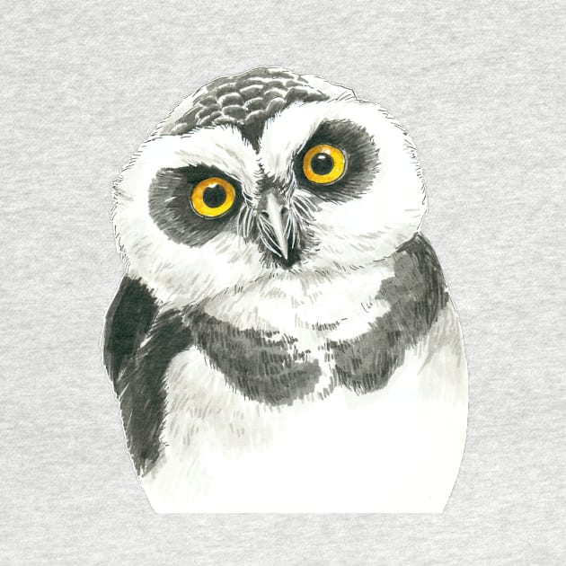 Owl by katerinamk